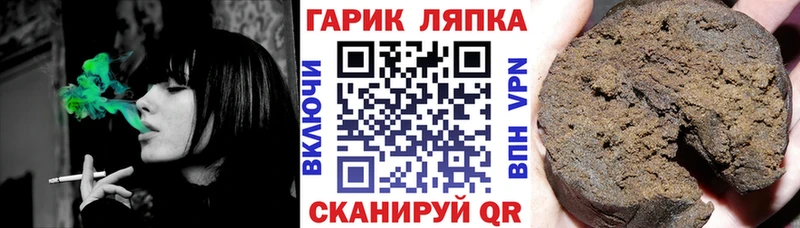 Купить  Старица  ГАШ гарик 